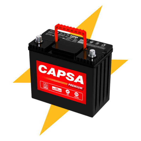 CAPSA 13AP(I) (24R 1000)