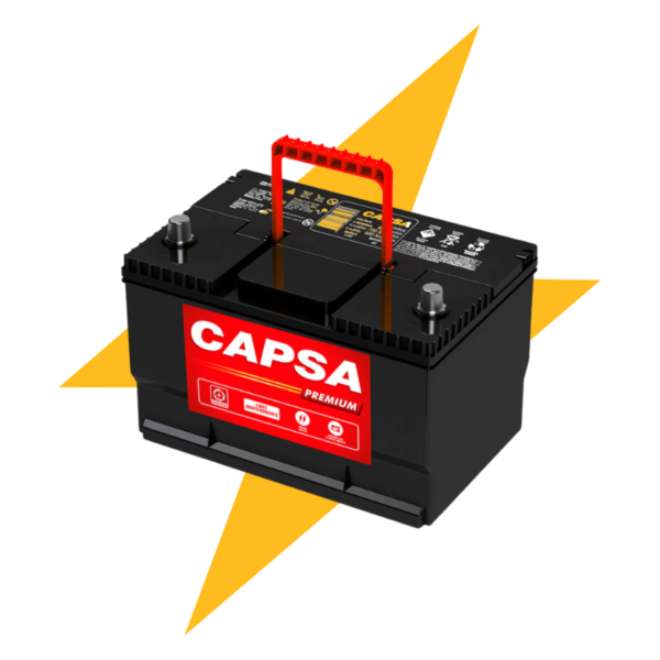 CAPSA 1765 (65 1100)