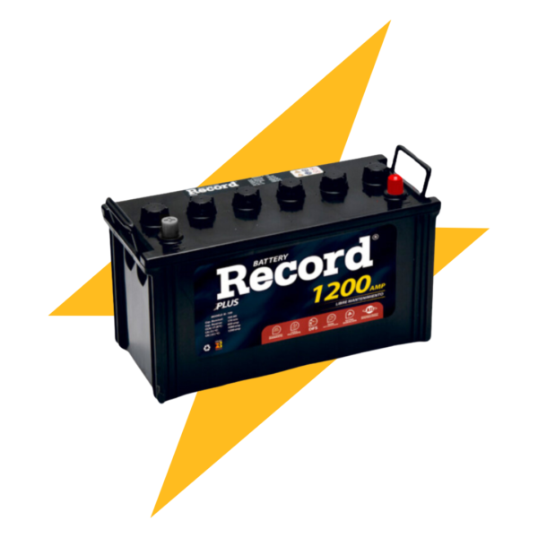 RECORD PLUS-N-100